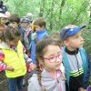 Kirándulnak a Zengőerdő csoportos gyerekek