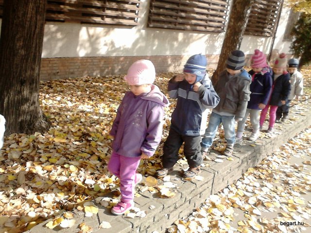A Csodavár csoportos gyerekek őszi leveleket gyűjtöttek egy szép, napsütéses októberi napon