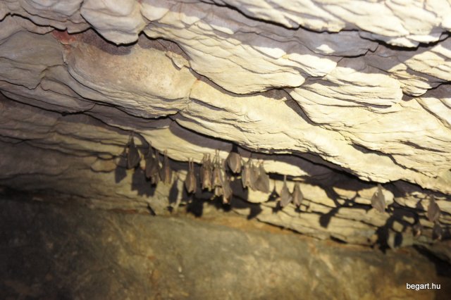 BEG Barangolókkal a Zichy-barlangban