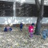 A Csodavár csoportos gyerekek őszi leveleket gyűjtöttek egy szép, napsütéses októberi napon